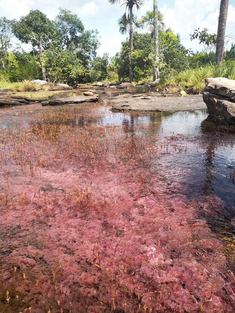 Odkryj kolumbie galeria SanJose 27