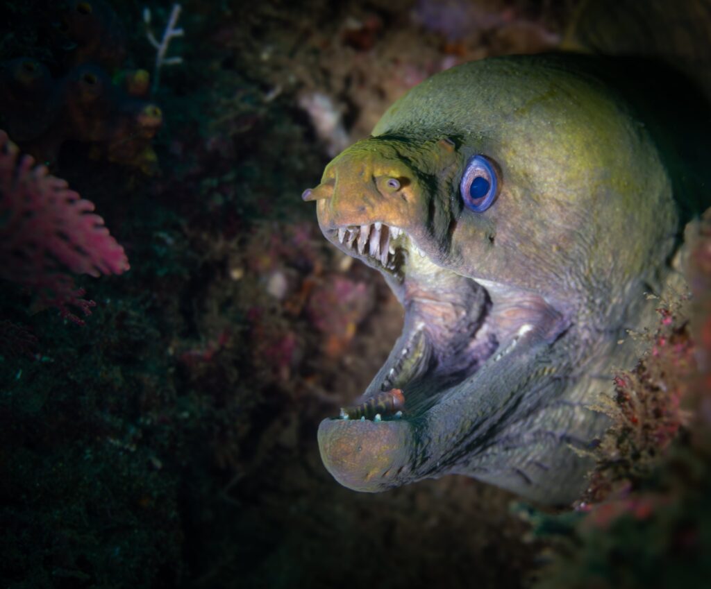 01c881f4 0dd7 41fd b882 8db0a4a59d48 scaled