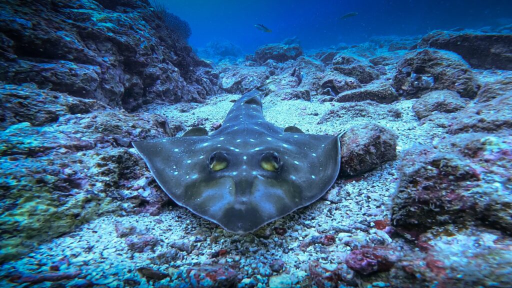 3a8fdc6d d558 4d72 a5e3 54aacf98712d scaled