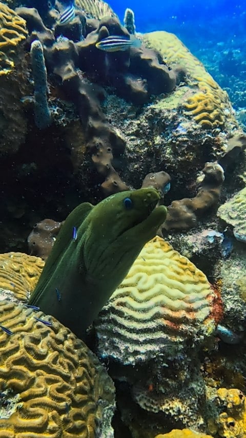 c81fadc5 9c5f 4091 b54b 3ccf7d283ad1